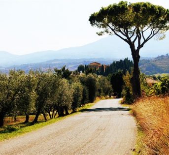 I prodotti di Campagna Amica nel “Menu del pellegrino”