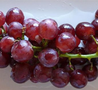 Uva rossa e prodotti tipici per combattere lo stress da rientro