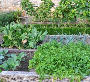 In primavera rinasce anche la passione per l’orto