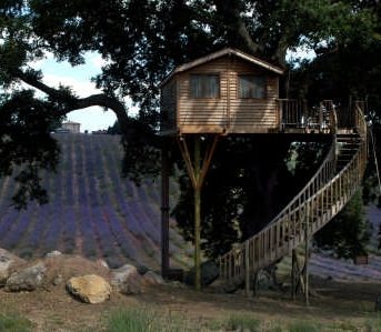 Passa le feste a “km0” negli agriturismi di Campagna Amica