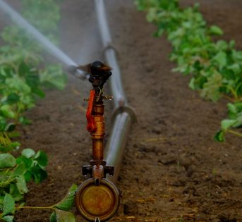 Siccità e capricci del clima: 2 miliardi di danni nei campi