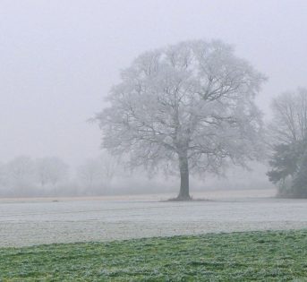 Maltempo, 14 miliardi di danni in agricoltura