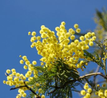 Lo smog è tornato in città, temperature più elevate di 3,9 gradi