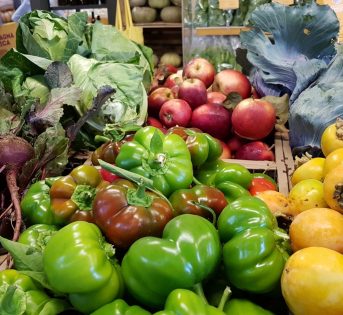 Primizie e orticoltura nei nostri mercati romani