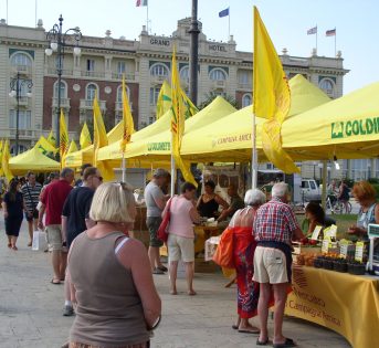 Il gemellaggio del gusto tra pesca di Romagna e pesce azzurro dell’Adriatico