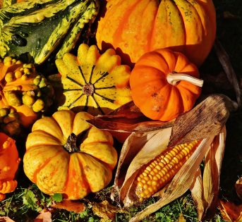 Zucche e olio nuovo: gli eventi dei mercati a Roma