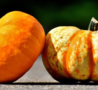 Zucca, la regina dell’autunno