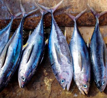 Tonno e pesce spada nella classifica dei cibi più pericolosi