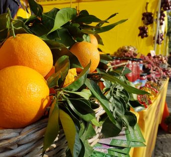 Gli italiani in vacanza non rinunciano al buon cibo