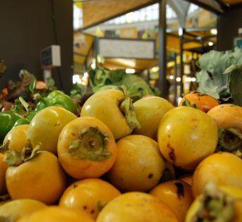 Musica e laboratori nei mercati di Roma