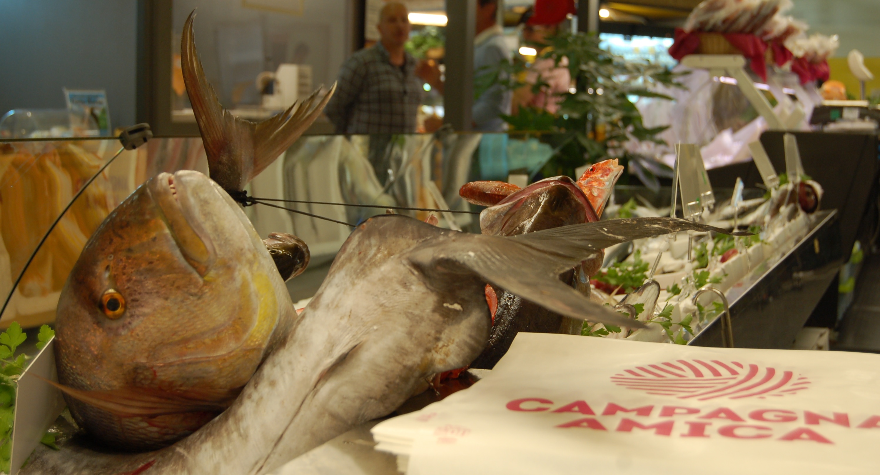 Dove Mangiare Le Lumache In Lombardia