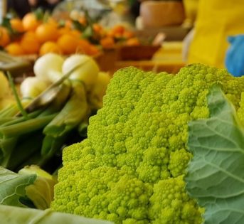 I percorsi di Campagna Amica alla scoperta dei tesori agroalimentari