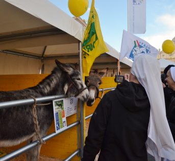 Sant’Antonio Abate, benedizione degli animali in Vaticano