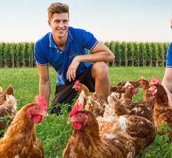 Frittata, arriva quella 100% biologica