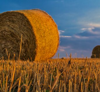 La situazione in Italia
