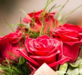 Per San Valentino scopri qual è il fiore giusto