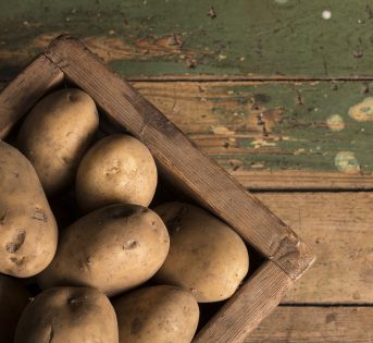 A lezione di biodiversità