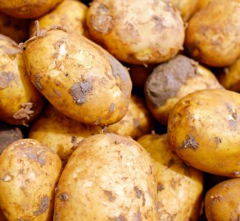 Patate nell’orto, le cure di stagione