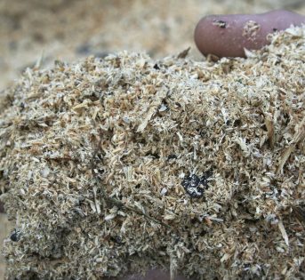 Agricoltura e risparmio energetico