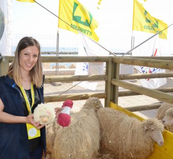 Villaggio Coldiretti, la creatività contadina conquista Bari