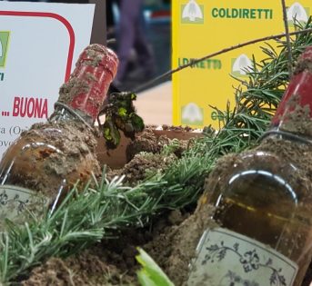 Vinitaly 2018, curiosità in mostra
