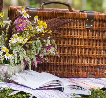 L’agriscampagnata perfetta con i prodotti a km 0