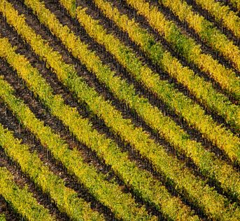 Quanto costa l’agricoltura che sparisce