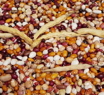 Giornata legumi: da fagioli a ceci, volano i consumi