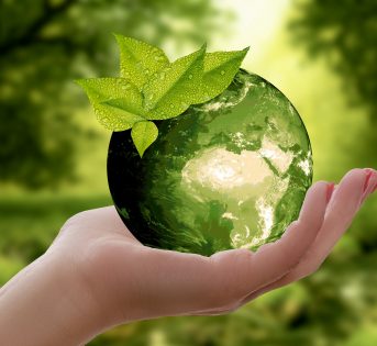 Earth Day 2024: la spesa salva ambiente