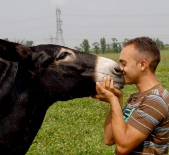 L’azienda “biodiversa”