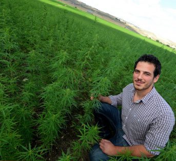 I mille usi della canapa