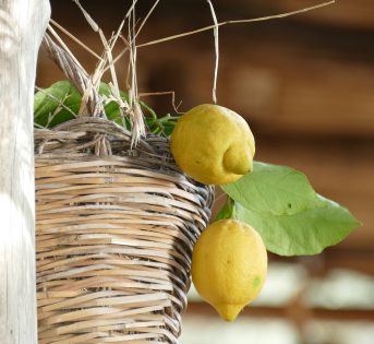 Limoni italiani per una torta regale