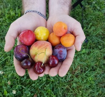 Il caldo tiene svegli gli italiani, cosa mangiare