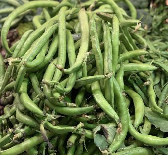 Fave, legumi antichi dalle mille virtù