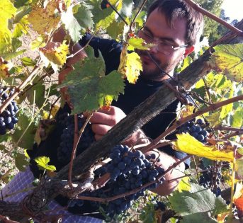 Gabriele Conticini: dall’ingegneria alla terra