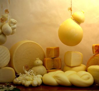 Giornata Mondiale del Latte: export da record per i formaggi italiani