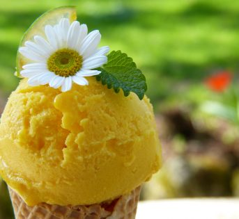 Alla scoperta del vero gelato contadino