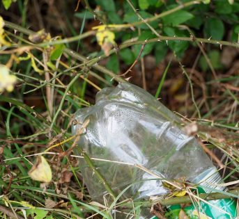 Giornata Mondiale Ambiente:  stop invasione plastica!