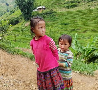 I prodotti dello sfruttamento arrivano sulle nostre tavole