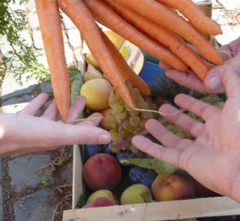 I Gas di Campagna Amica