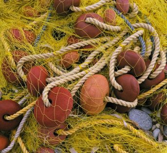 Al via il fermo pesca nei mari italiani