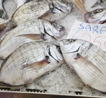Sarago, tradizione mediterranea in cucina