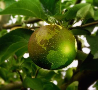 Vogliamo bene alla salute della Terra?