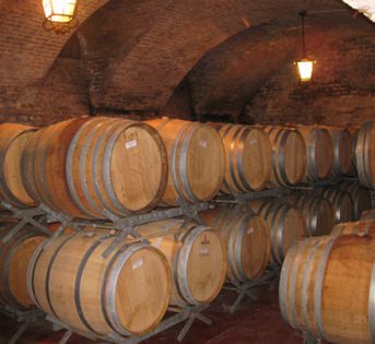Turismo, 1 italiano su 2 in malghe e cantine