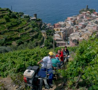 La biodiversità nel sociale: solidarietà e sussidiarietà