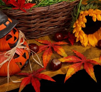 Zucche e frutta secca, i sapori autunnali nei mercati romani