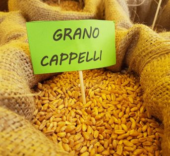 In Italia è boom di pasta con i grani antichi