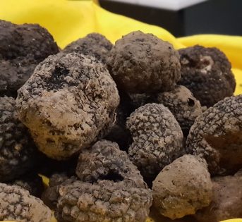 Tartufi e verdura non hanno più segreti