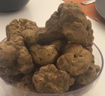 Tartufi, è corsa all’acquisto
