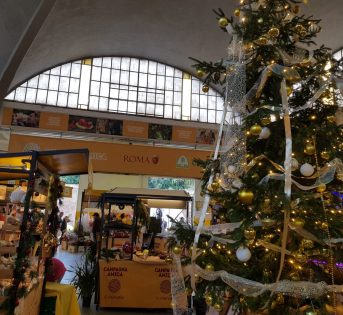 Biodiversità, alberi solidali e musica nei mercati della Capitale